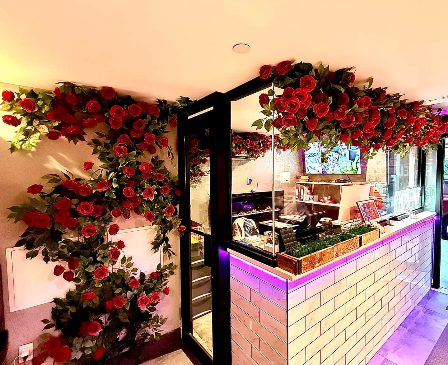 HOTEL ROSE