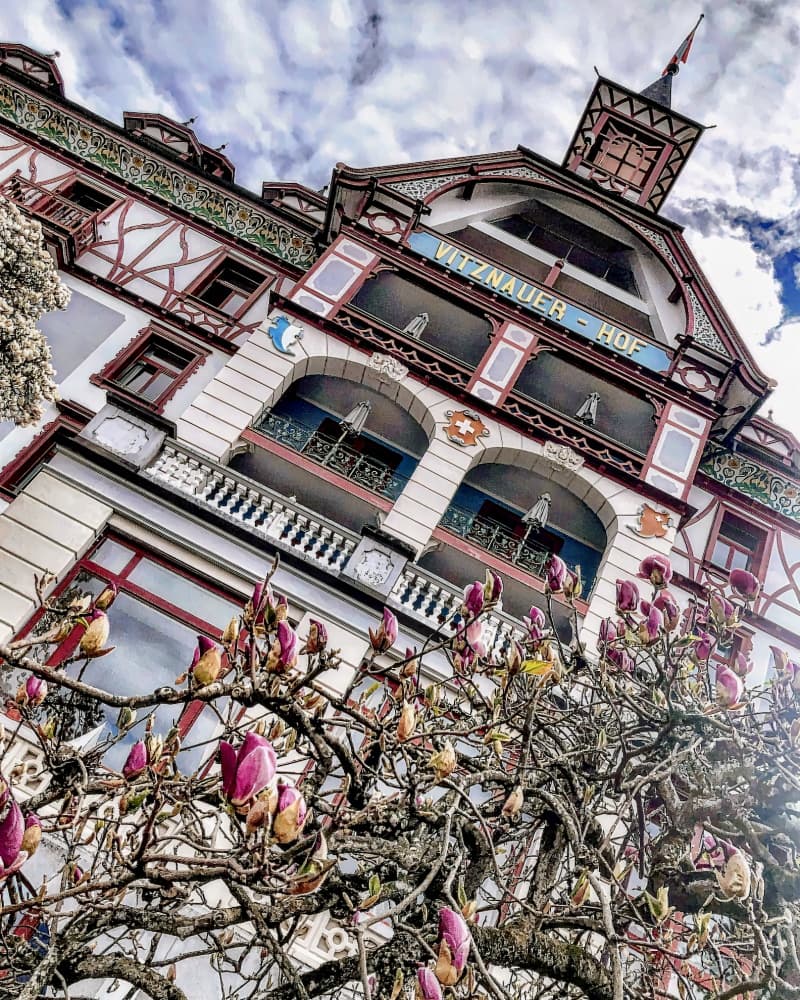 Hotel Vitznauerhof