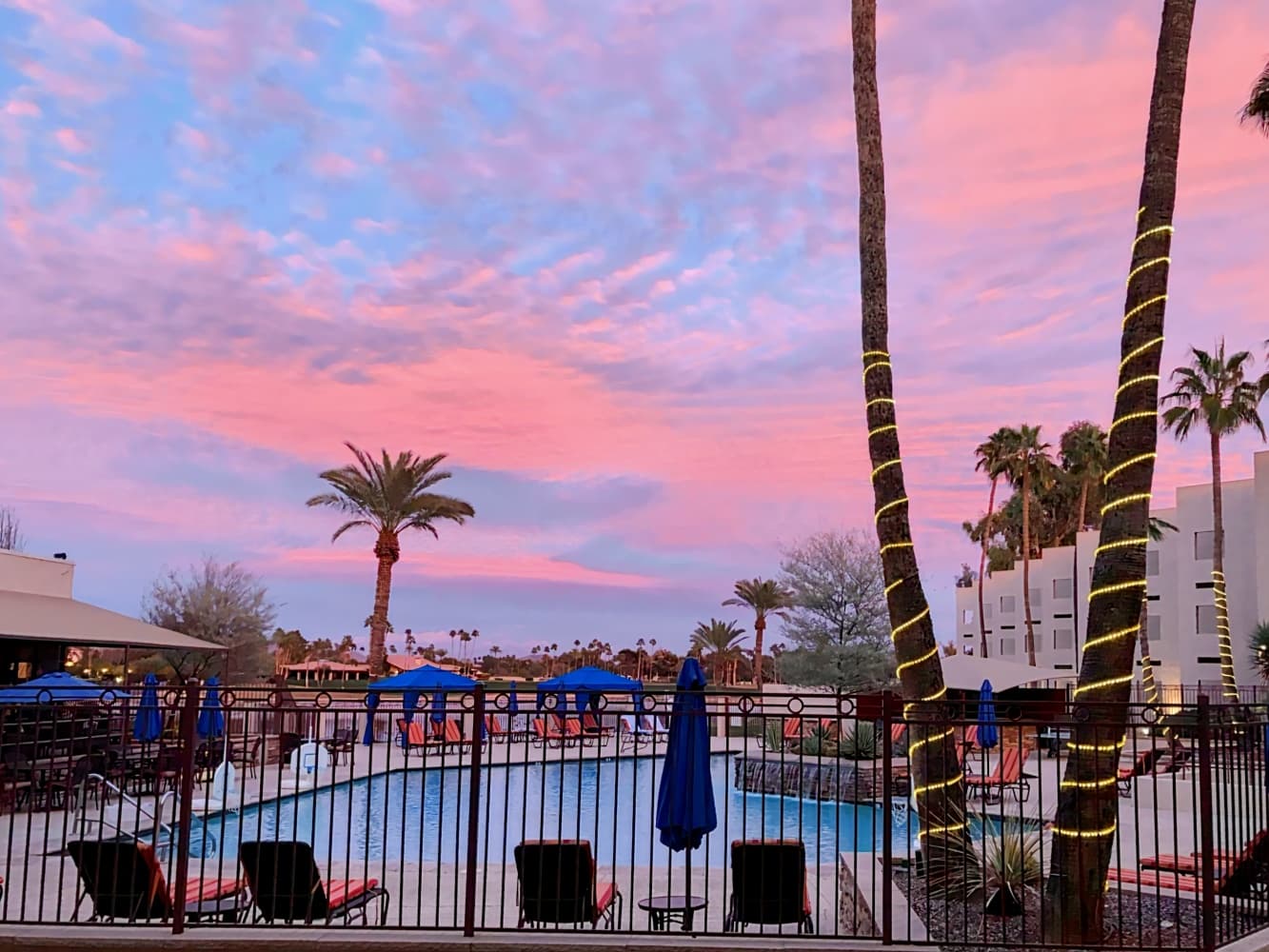 The McCormick Scottsdale