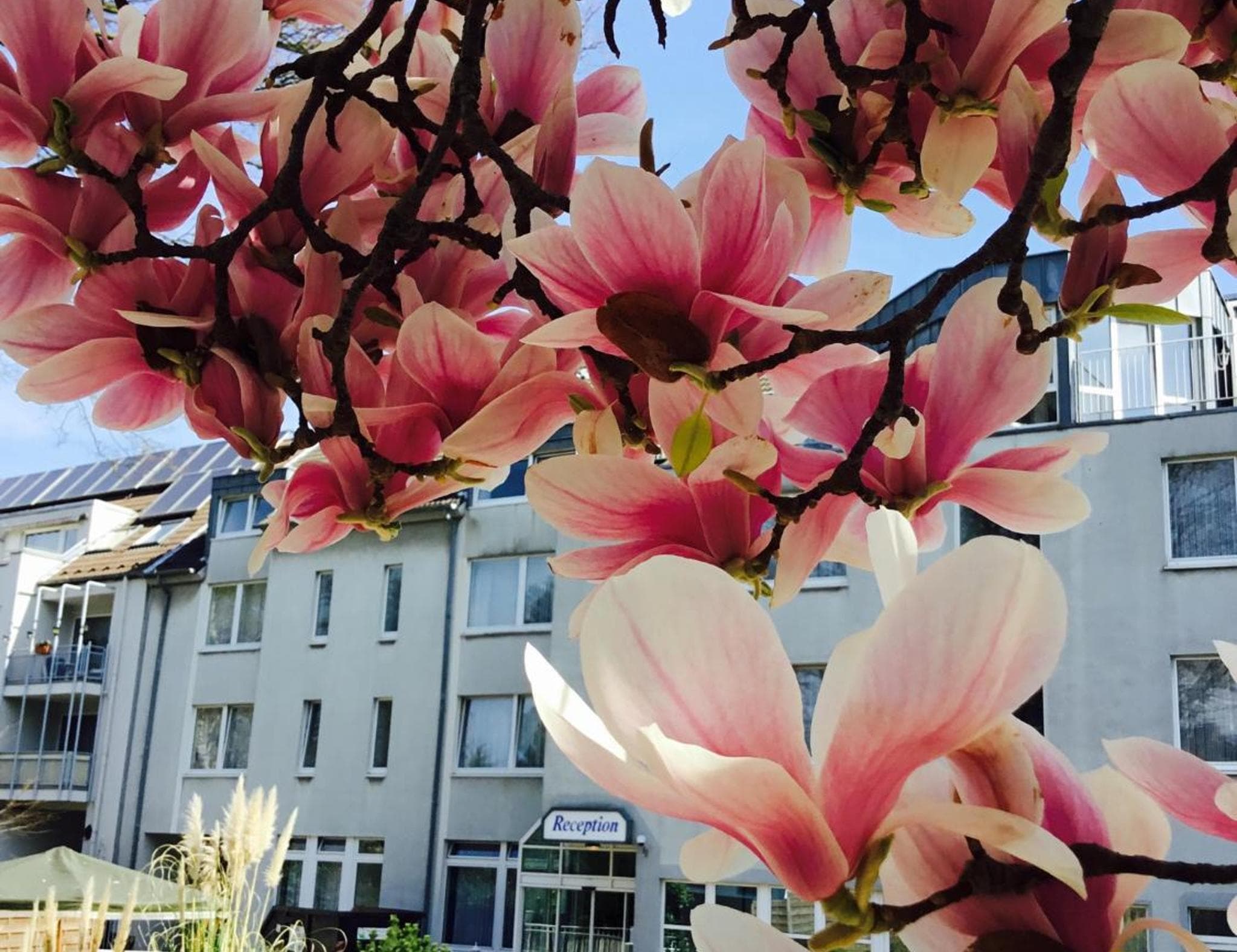 Hotel Astoria City Resort Essen(DUPLICATE)