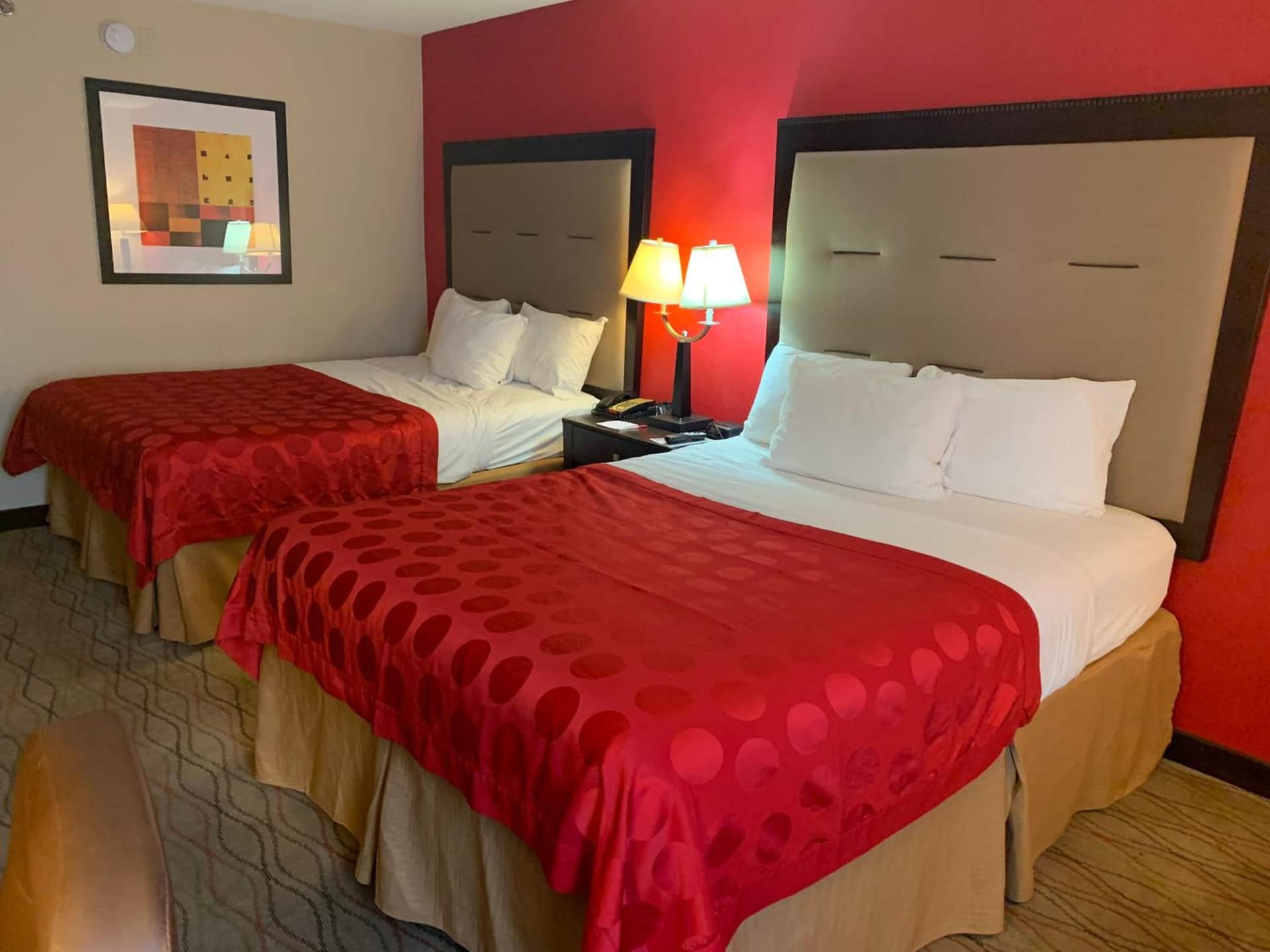 Comfort Inn & Suites Gainesville