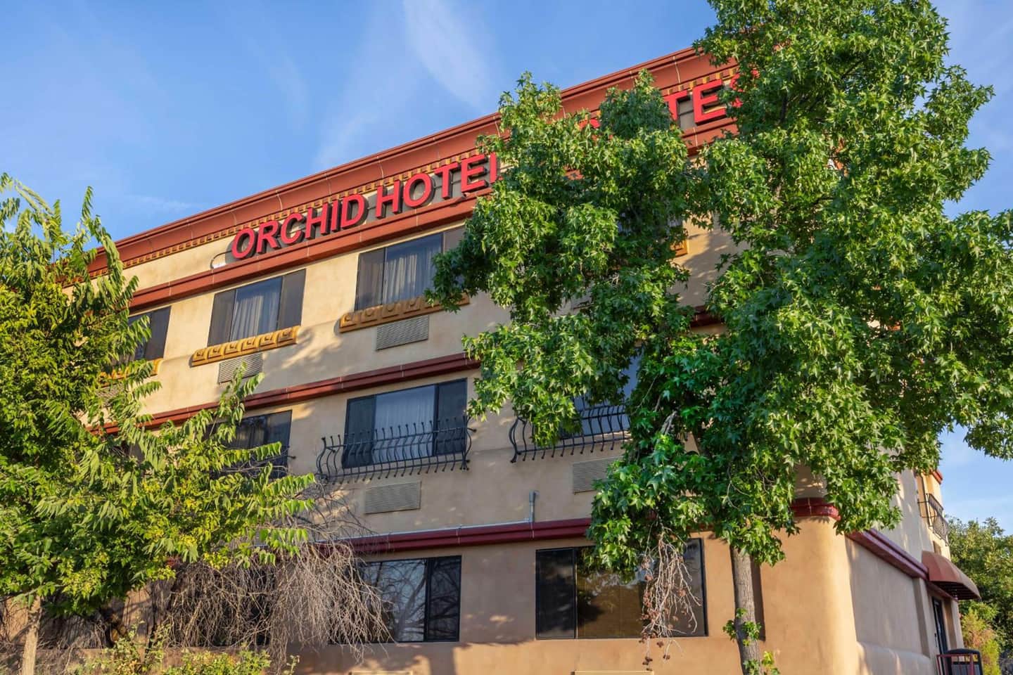 Best Western Plus Orchid Hotel and Suites