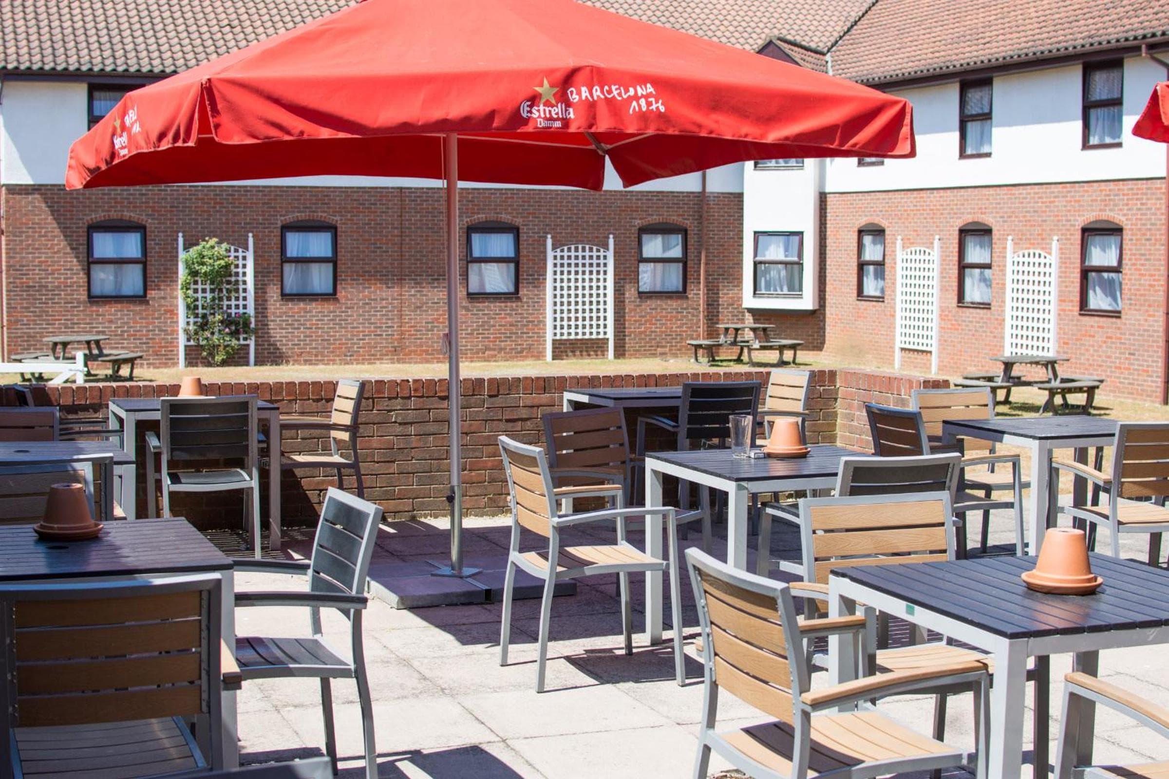 Dragonfly Bury St Edmunds