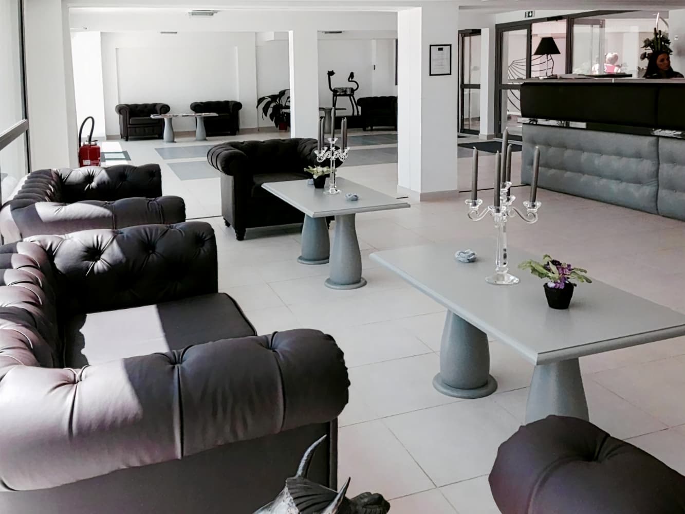 Adonis Aix en Provence