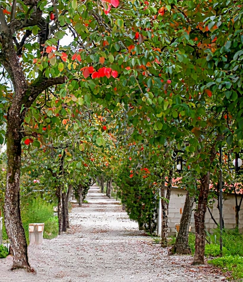 Villa Rizzo Resort & Spa