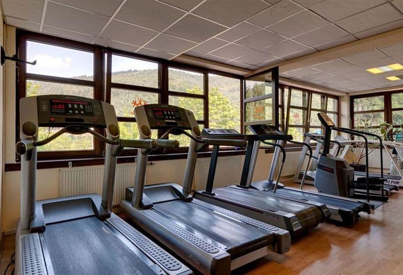 Hotel Neckartal Heidelberg